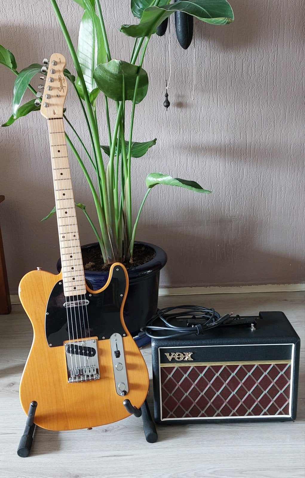 Fender Squier Telecaster Affinty met Vox Pathfinder 10., Ophalen, Fender, Met versterker, Zo goed als nieuw