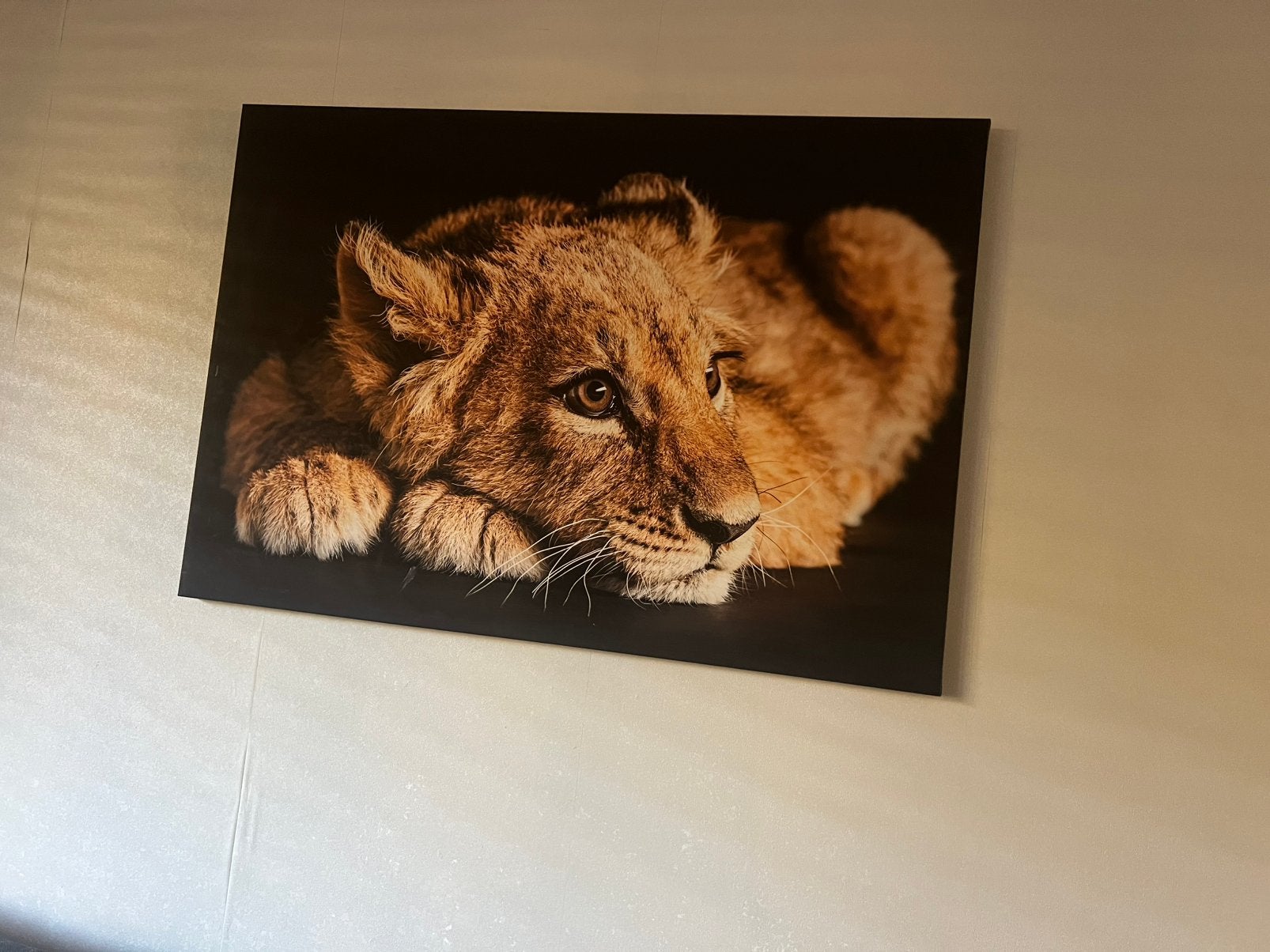Grote canvas schilderij, Huis en Inrichting, Ophalen, Zo goed als nieuw, 125 cm of meer, Schilderij