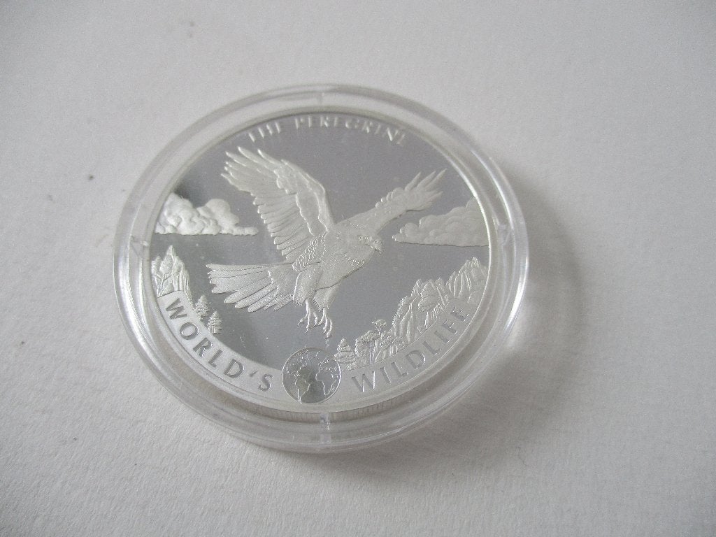 Congo 2024 Slechtvalk 1 Oz zilver, Ophalen of Verzenden, Overige landen, Losse munt, Zilver