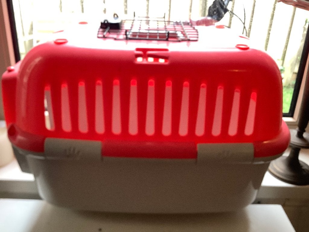 GRATIS transportbox kat/kleine hond, Ophalen, Gebruikt