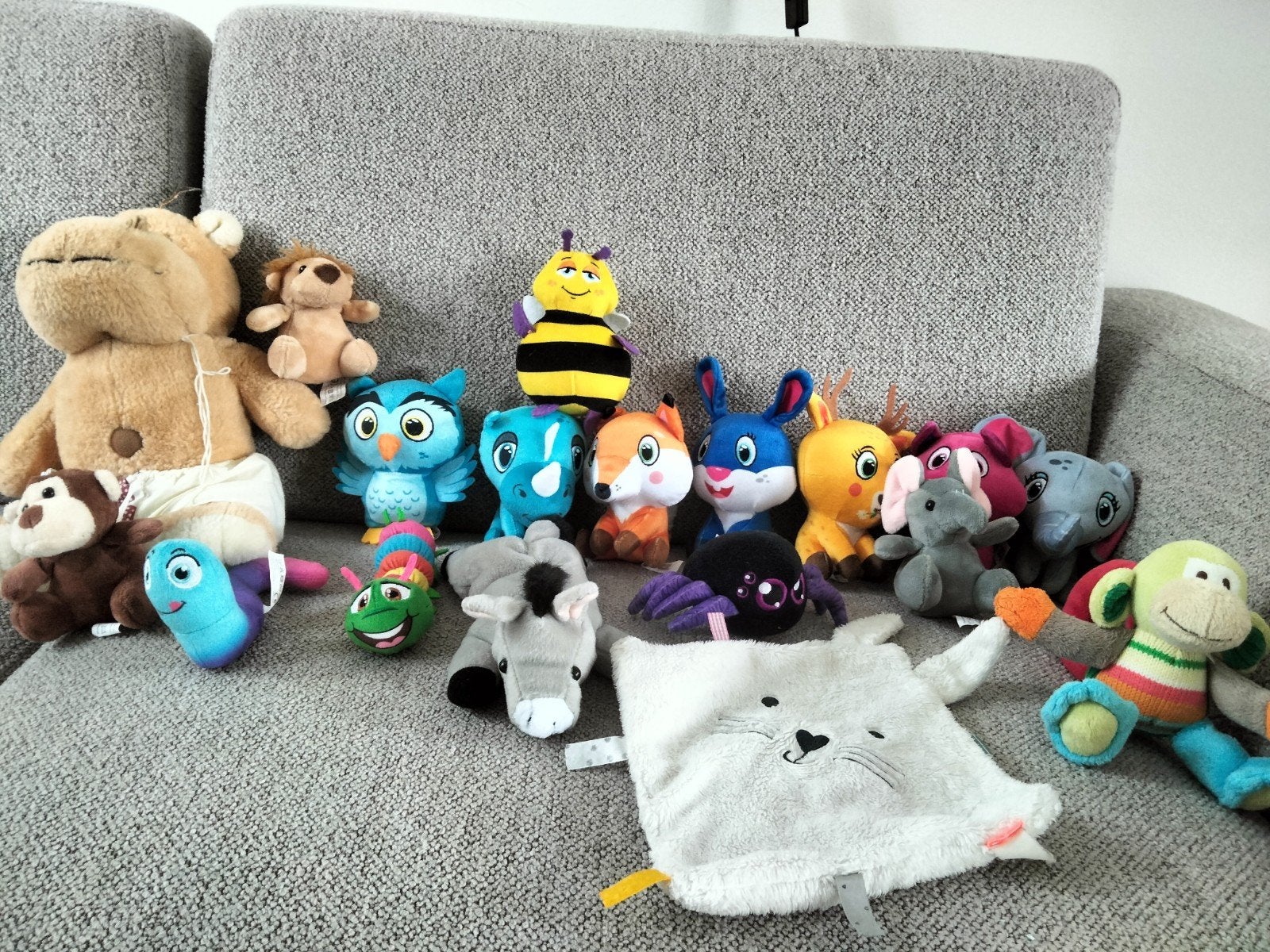 diverse knuffels, Ophalen of Verzenden, Meerkleurig, Konijn, Klein (minder dan 20 cm)