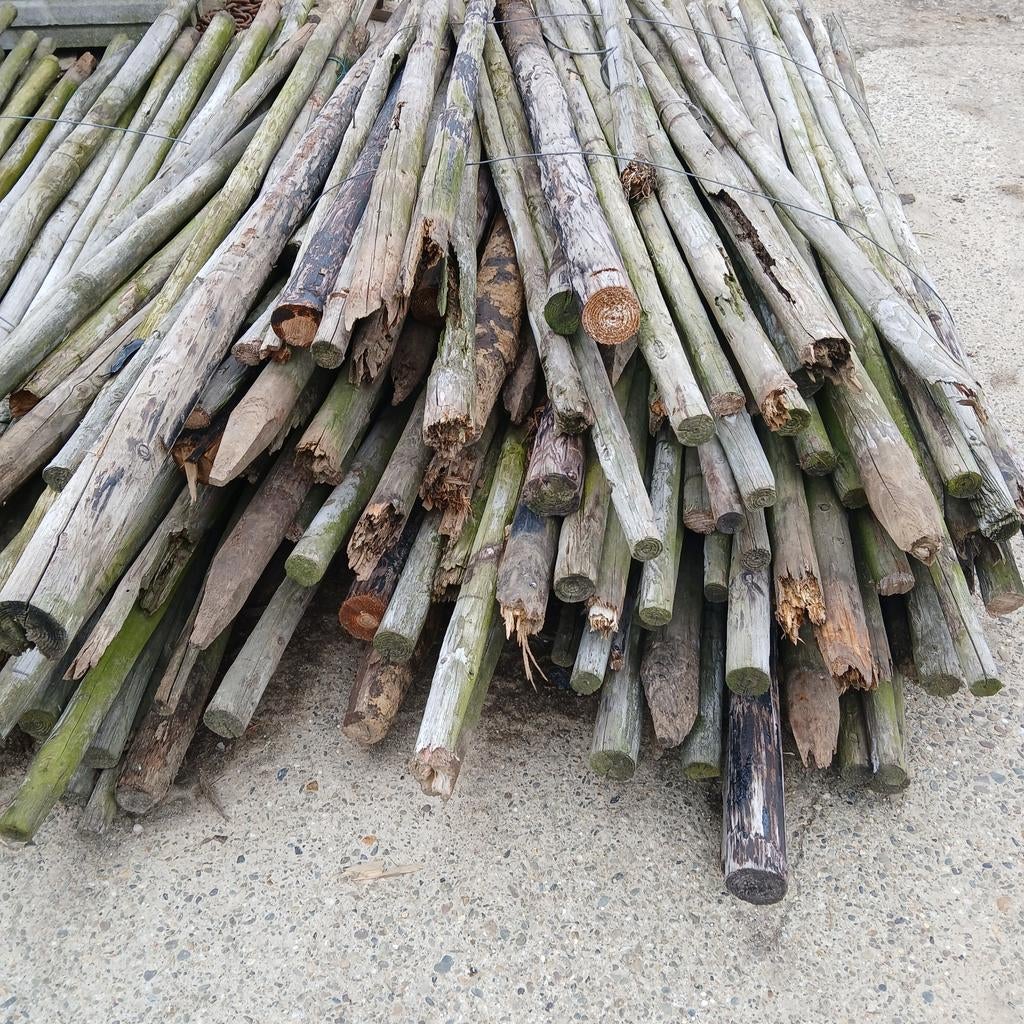 Gratis af te halen: Oude fruitboompalen (flesje wijn mag), Ophalen, Gebruikt, 180 tot 250 cm, Palen