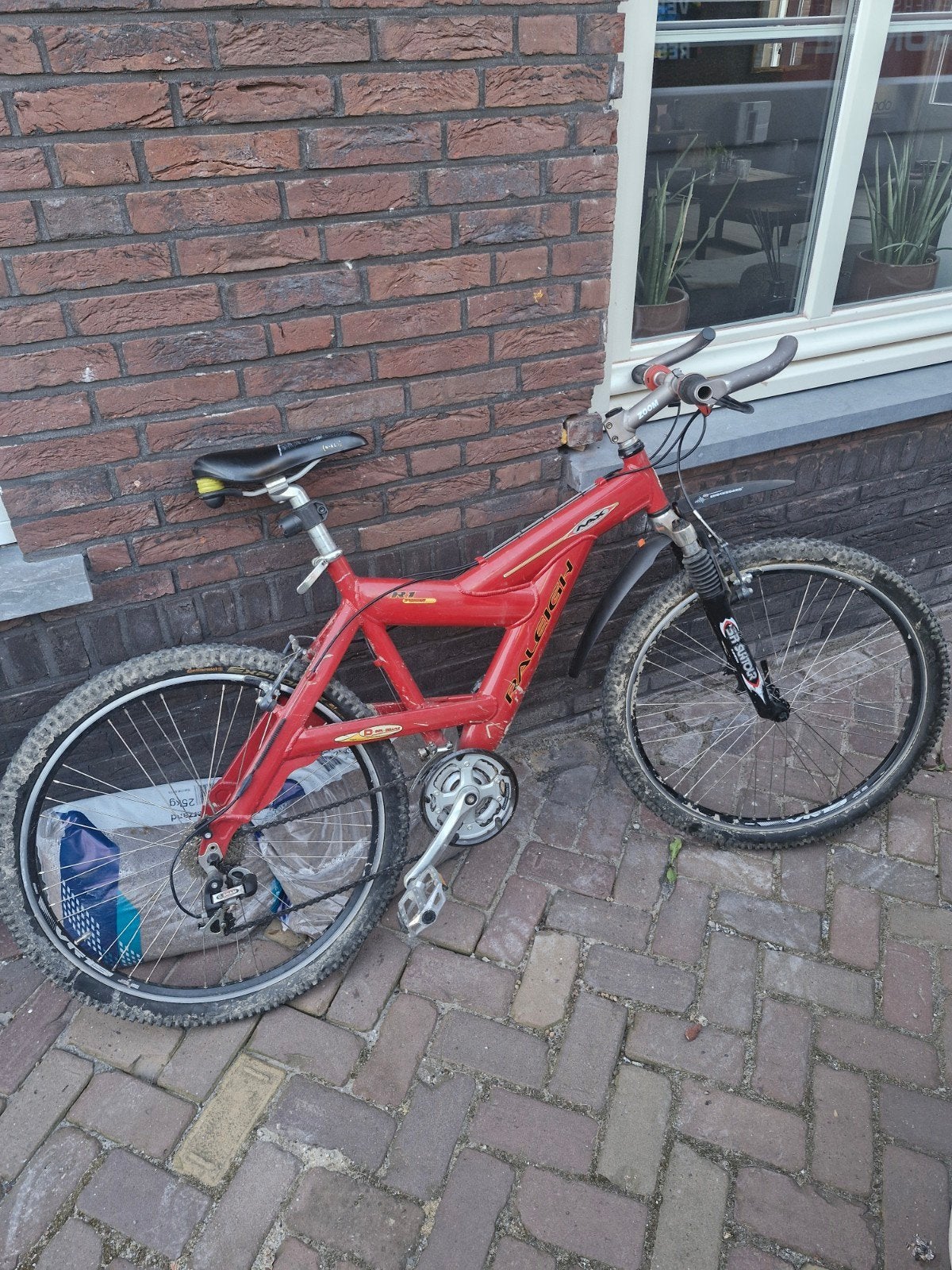 Raleigh Mountainbike - Nieuwe banden, tandwielen en ketting, Overige merken, Gebruikt, Hardtail, Ophalen of Verzenden