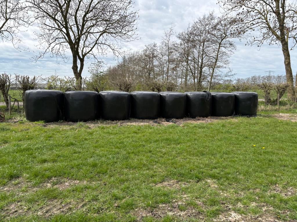 Hooibalen 2025, Dieren en Toebehoren, Dierenvoeding, Ophalen, Vee