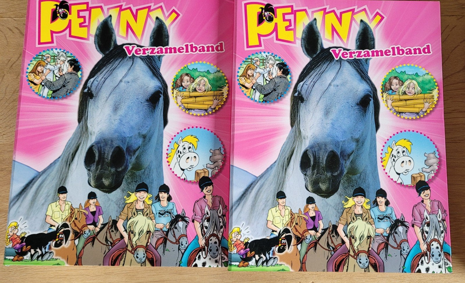 Stapel Penny's uit 2012 - 23 st incl posters en verzamelband, Ophalen of Verzenden, Gelezen, Overige typen