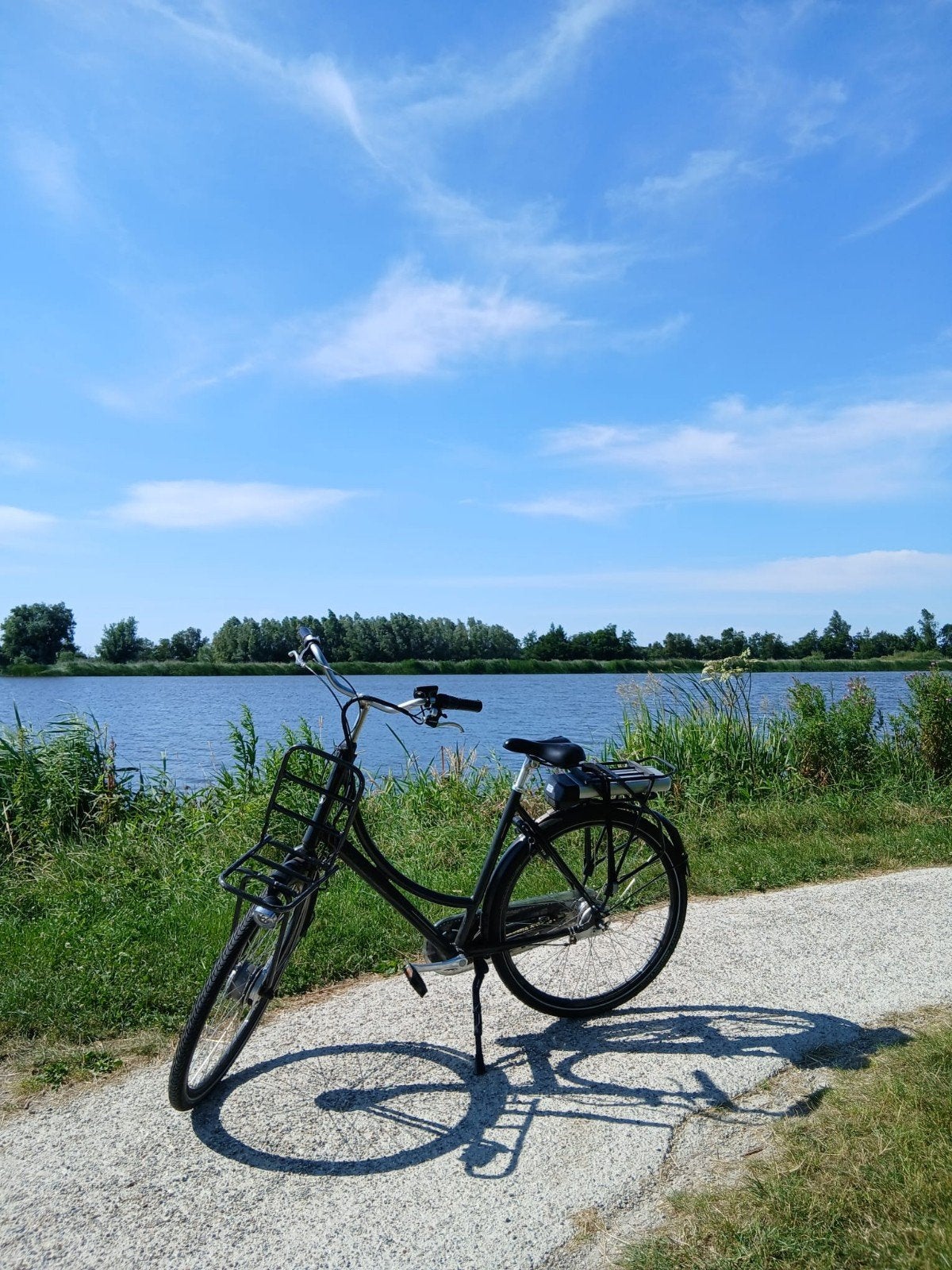 Batavus dames electrisch fiets, Fietsen en Brommers, Fietsen | Dames | Omafietsen, 53 tot 56 cm, Ophalen of Verzenden, Zo goed als nieuw