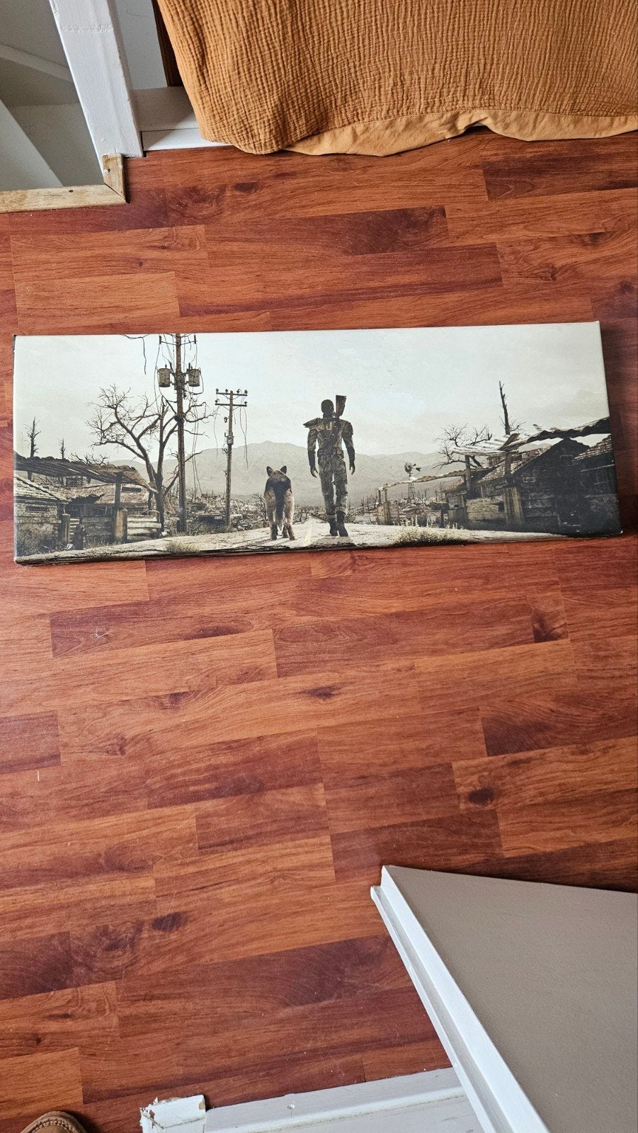 Fallout canvas, Ophalen