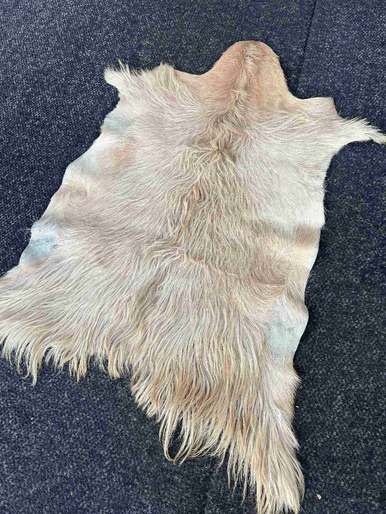Geitenvachtje beige 95/65 cm, Gebruikt, 50 tot 100 cm, Beige, Etten-Leur