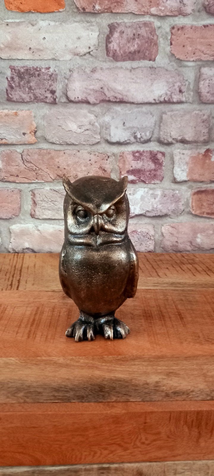 Leuke Zware Gietijzeren Uil Beeld♥️NIEUW♥️, Ophalen of Verzenden, Nieuw, Dier