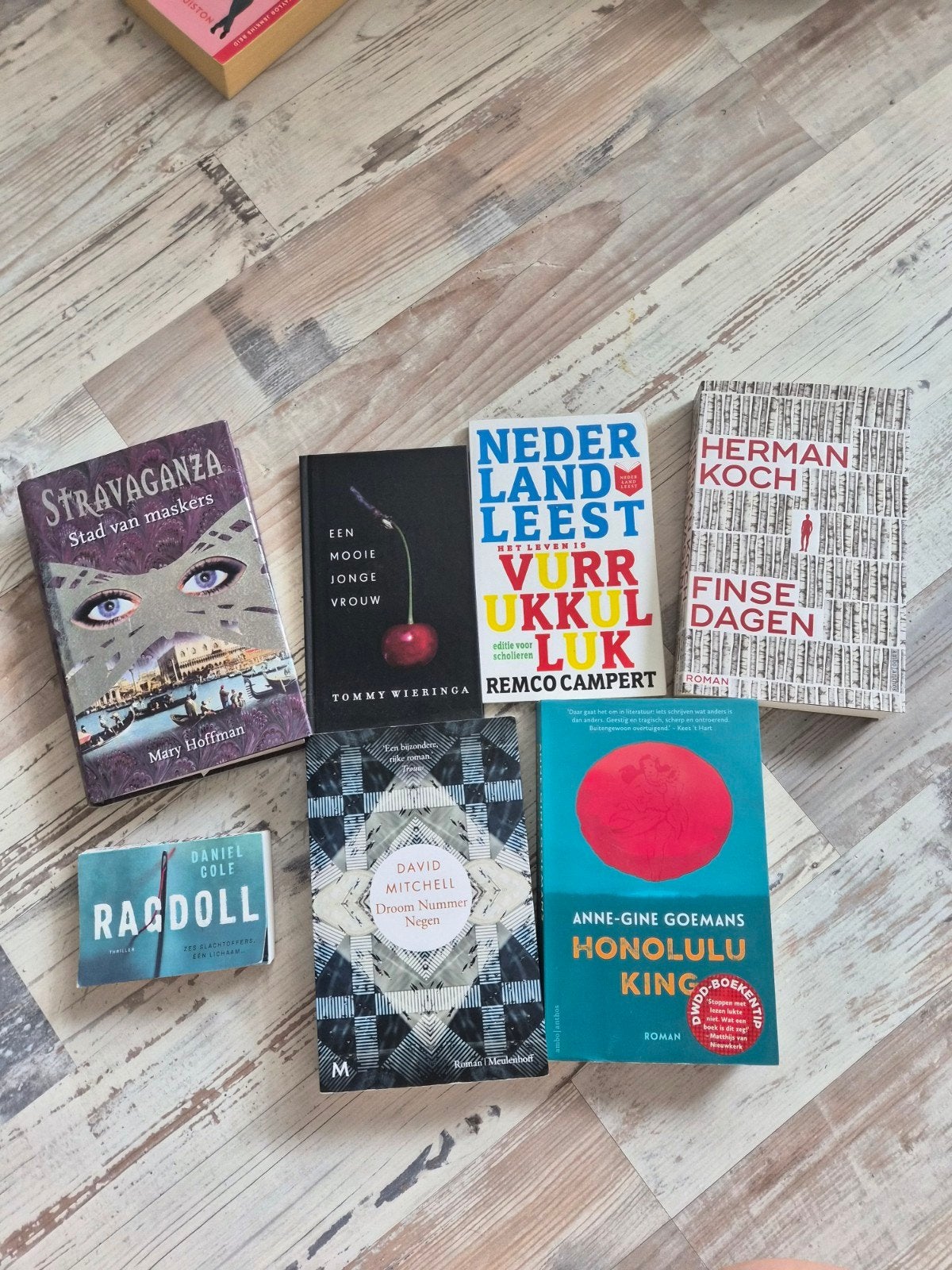 Boekenpakket: 6 diverse romans, zo goed als nieuw, Boeken, Ophalen of Verzenden, Zo goed als nieuw, Nederland