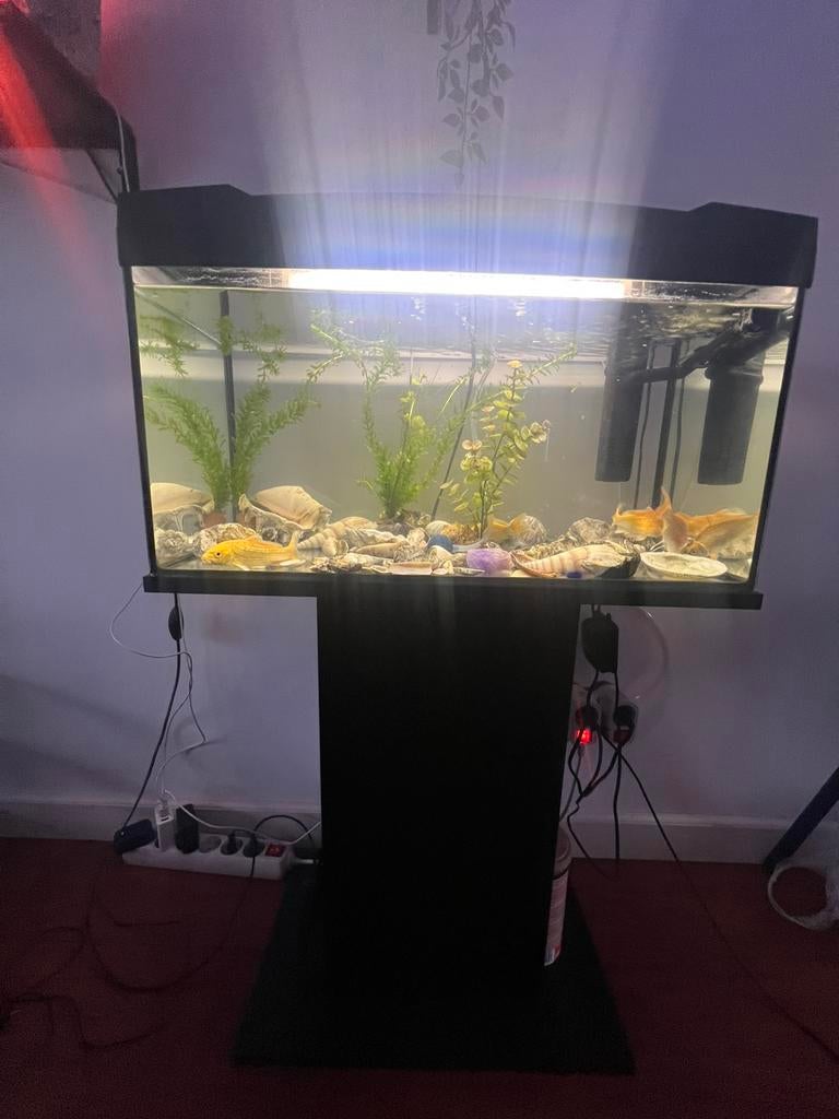 Mooie aquariumset met kast en  alle benodigdheden, Ophalen of Verzenden, Zo goed als nieuw, Leeg aquarium