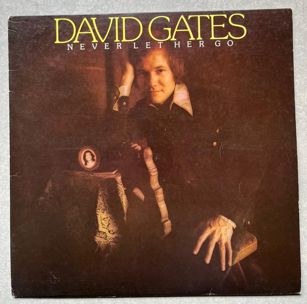 David Gates - Never Let Her Go (Vinyl/LP pop), Gebruikt, Ophalen of Verzenden, 1970 - 1979, 12 inch