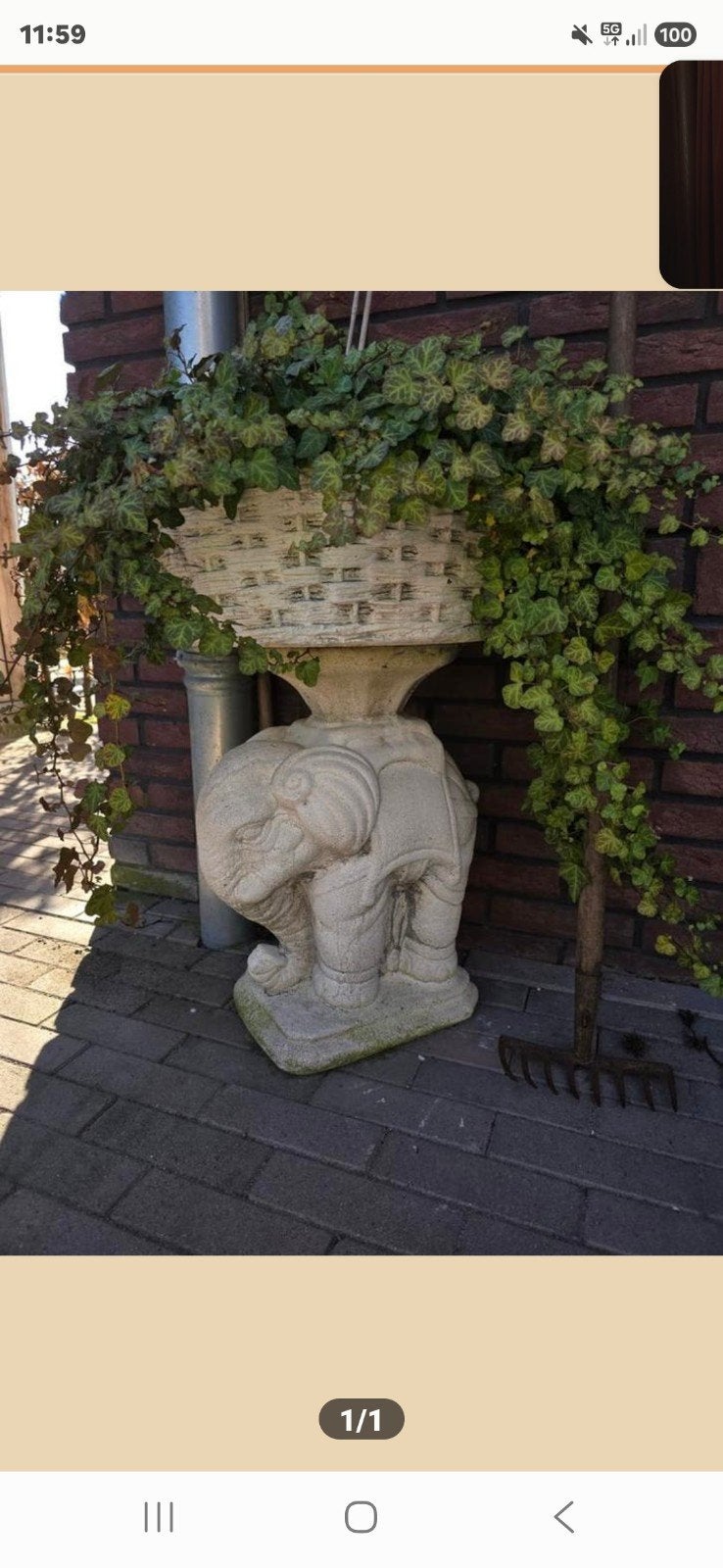 Olifant plantenbak, Ophalen of Verzenden