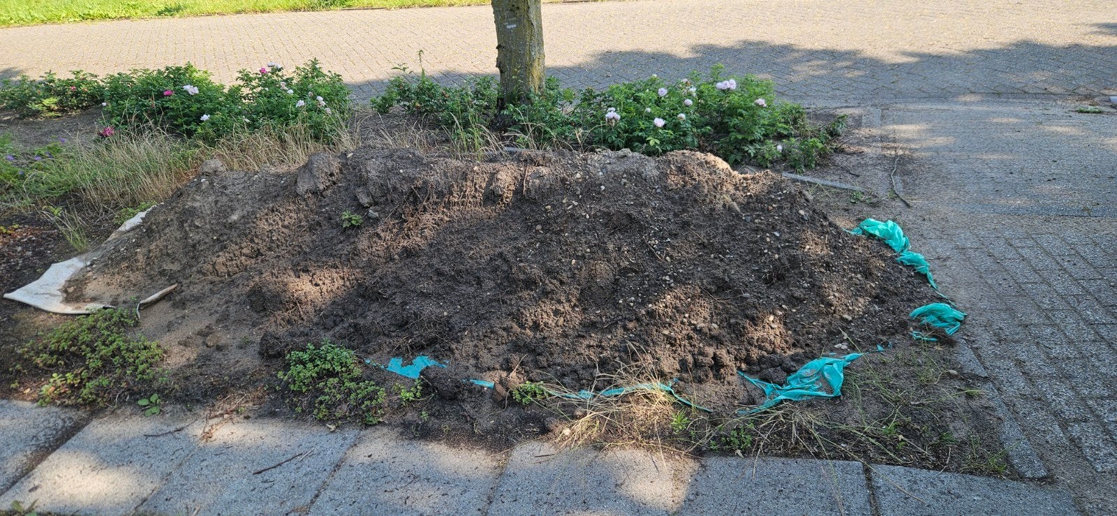 Gratis Tuinaarde +/- 2 kuub, Tuin en Terras, Ophalen, Tuinaarde