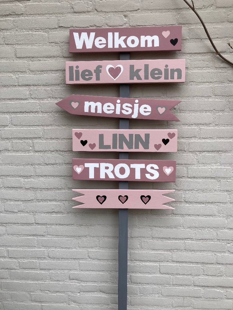 geboorte bord meisje, Kinderen en Baby's, Kraamcadeaus en Geboorteborden, Ophalen of Verzenden, Nieuw, Geboortebord