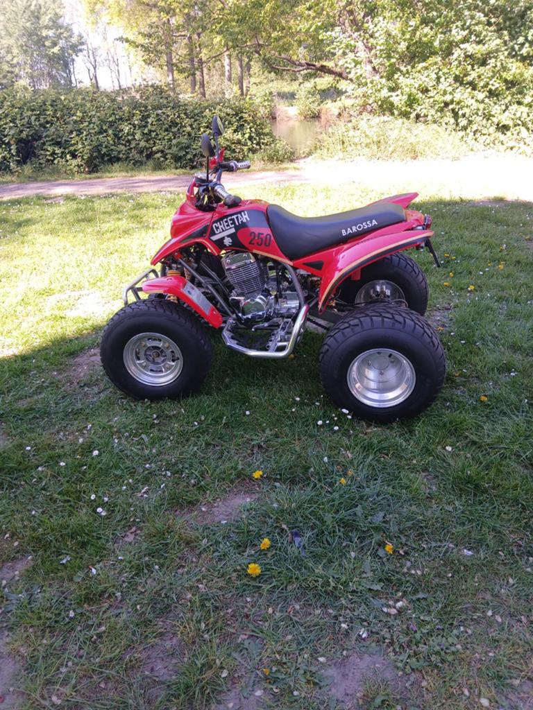 Te koop Barossa Cheetah 250 (2533 km!), 250 cc, 2 cilinders, 12 t/m 35 kW