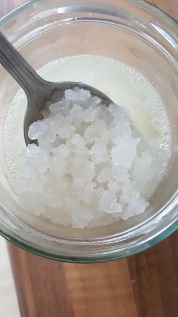 Biologische waterkefir Korrels, natuurlijke probiotica, Diversen, Levensmiddelen, Ophalen of Verzenden