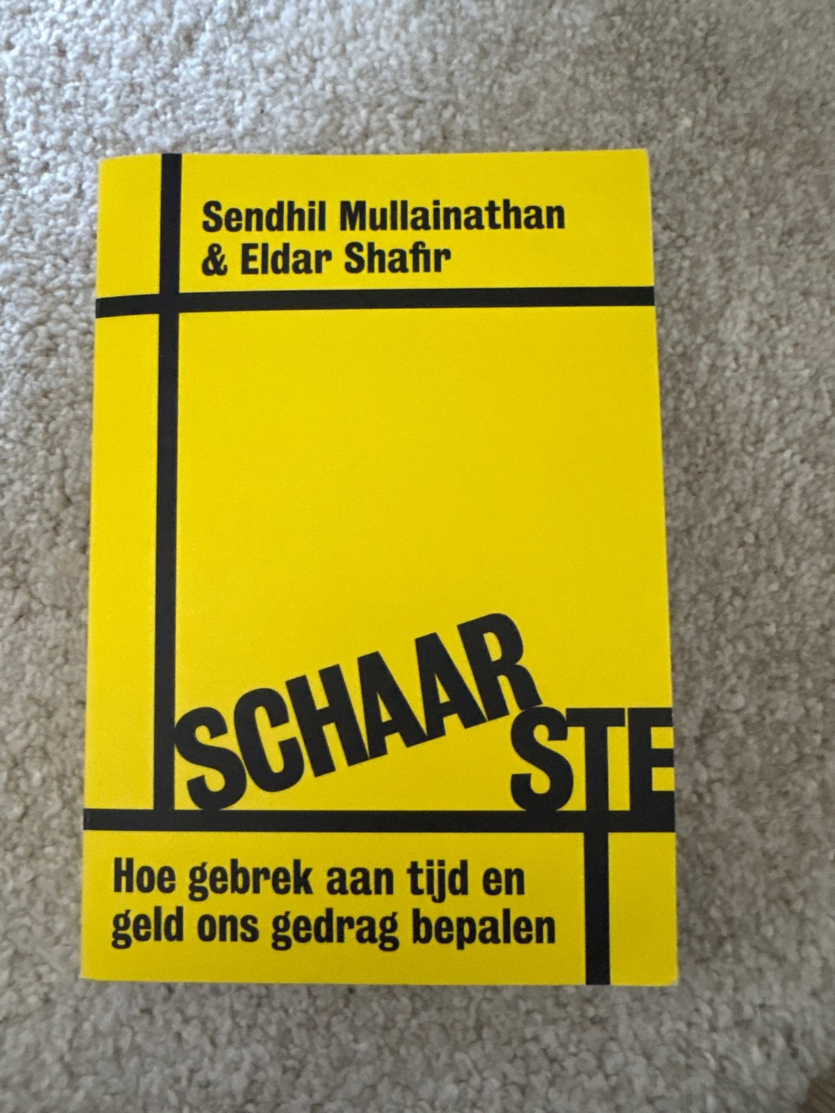 Schaarste: Hoe gebrek aan tijd en geld ons gedrag bepalen, Ophalen of Verzenden, Zo goed als nieuw