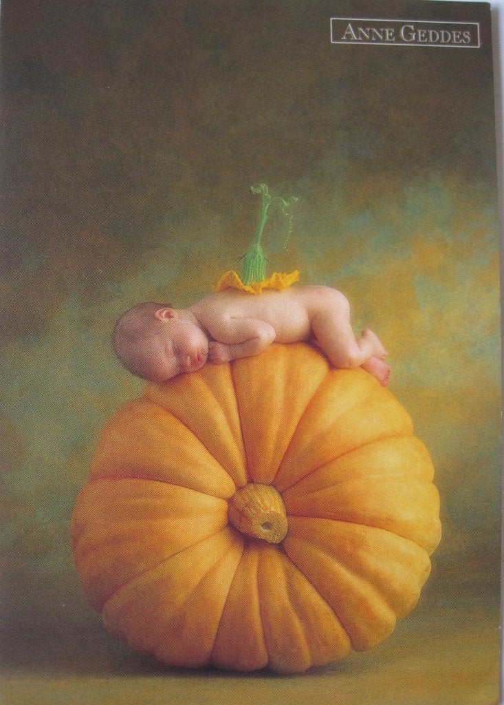 Anne Geddes nr. A015 1999 - Country Pumpkin - nieuw, Verzenden, 1980 tot heden, Ongelopen, Kinderen