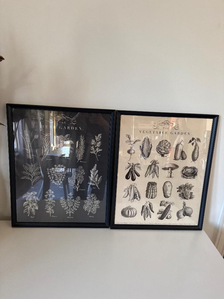 Poster met frame, Ophalen, Minder dan 50 cm, Nieuw, Foto of Poster