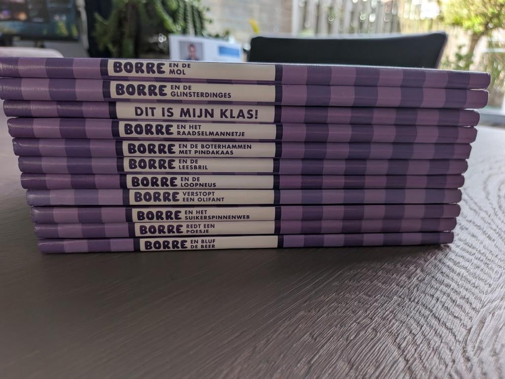 Borre boekjes - paarse serie, Boeken, Ophalen, Zo goed als nieuw, Jeroen Hoogerwerf, Fictie algemeen