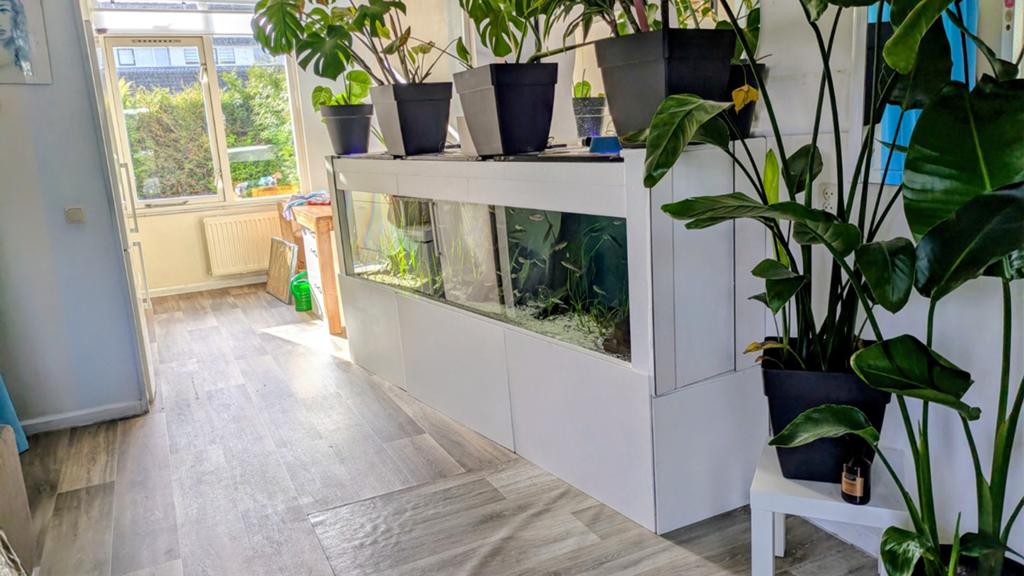 Groot aquarium design aquarium 245 cm!, Dieren en Toebehoren, Ophalen, Leeg aquarium