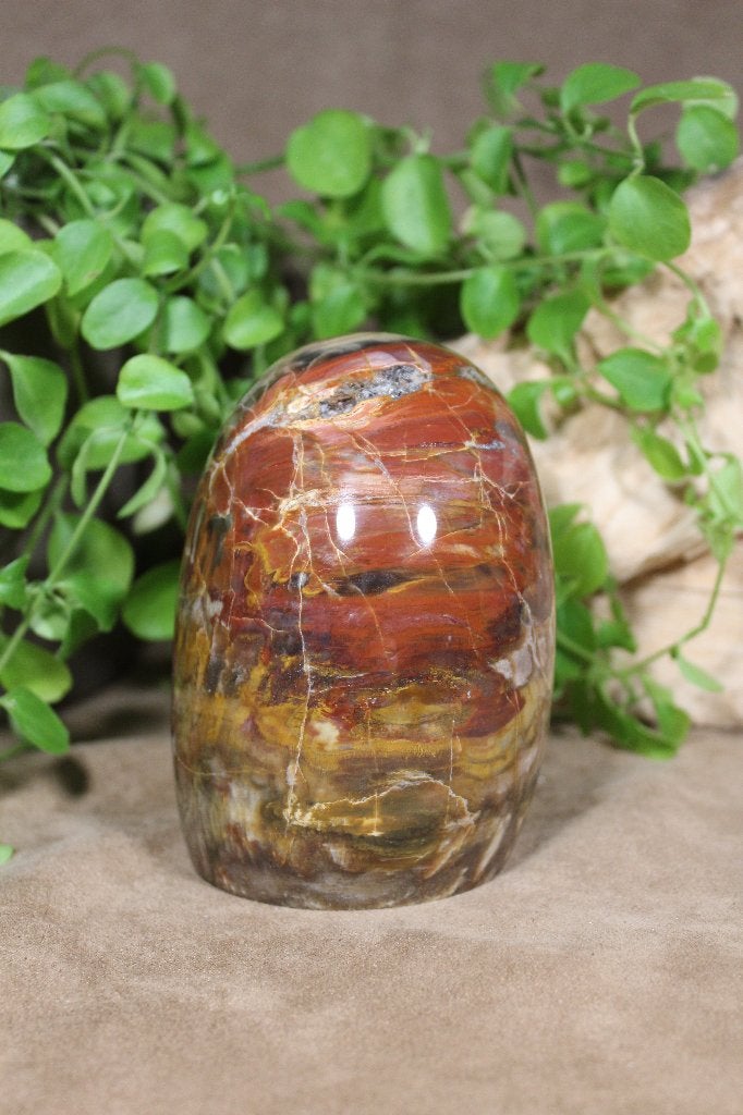 Versteend hout, Ophalen of Verzenden, Mineraal