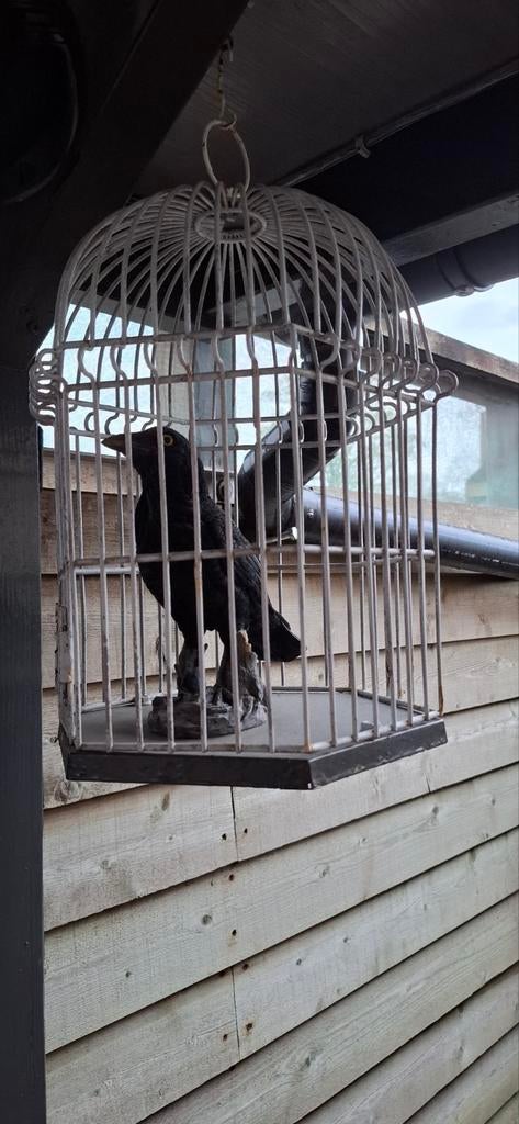 Decoratieve vogelkooi .38 hoog en 30 breed, Ophalen of Verzenden, Gebruikt