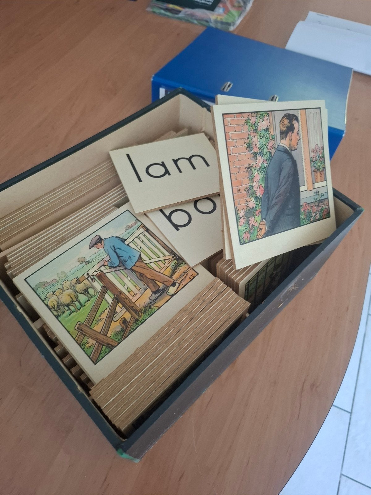 Vintage klassenplaten  'Onveranderd Leven' met woordkaarten, Ophalen, Gelezen