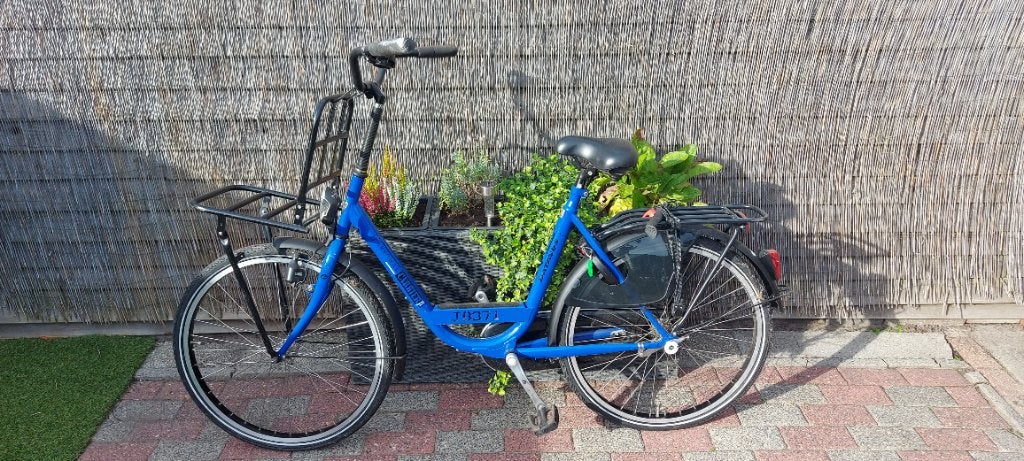 Batavus Transport Bike, Fietsen en Brommers, Ophalen, Terugtraprem, Batavus, 53 tot 56 cm