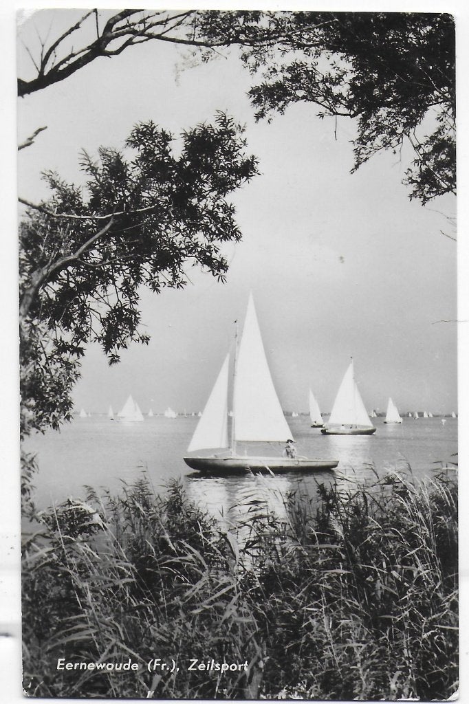 Eernewoude Zeilsport Oude Gelopen Ansichtkaart ( B6397), Ophalen of Verzenden, 1960 tot 1980, Gelopen