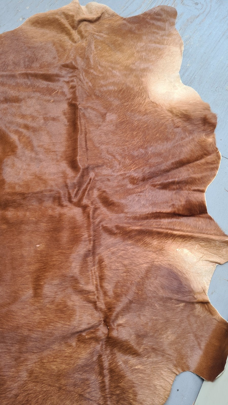 Koeien huid, Ophalen, 50 tot 100 cm, 150 tot 200 cm, Rechthoekig