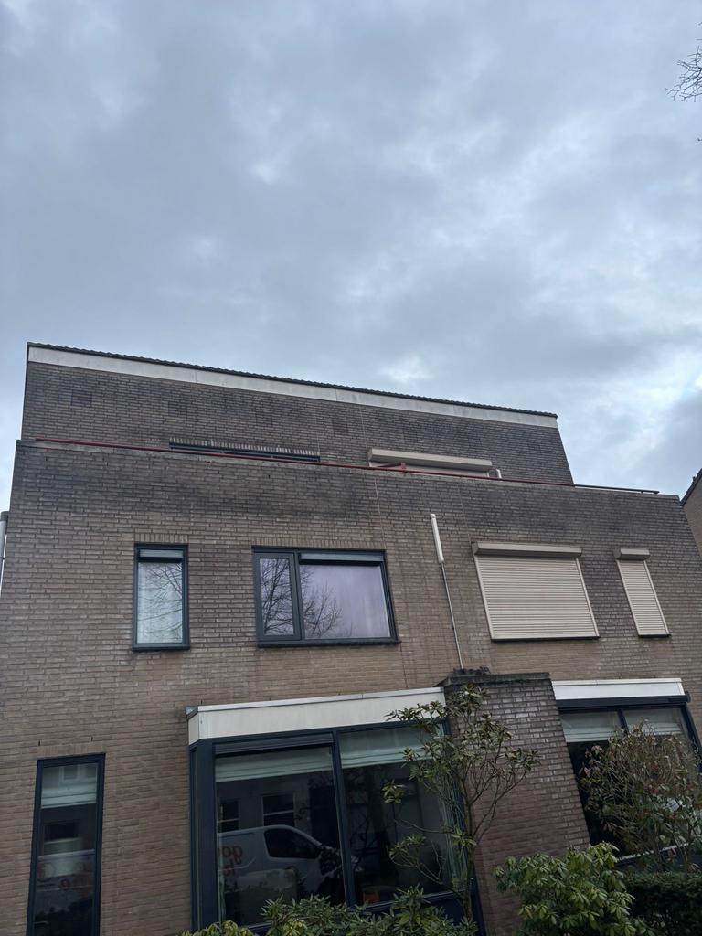 gevels/dakpannen/tuinen reinigen, Ophalen of Verzenden
