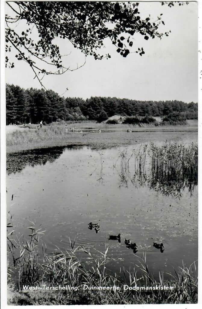 West-Terschelling -Duinmeertje Dodemanskisten, Verzamelen, Verzenden, 1960 tot 1980, Gelopen, Waddeneilanden