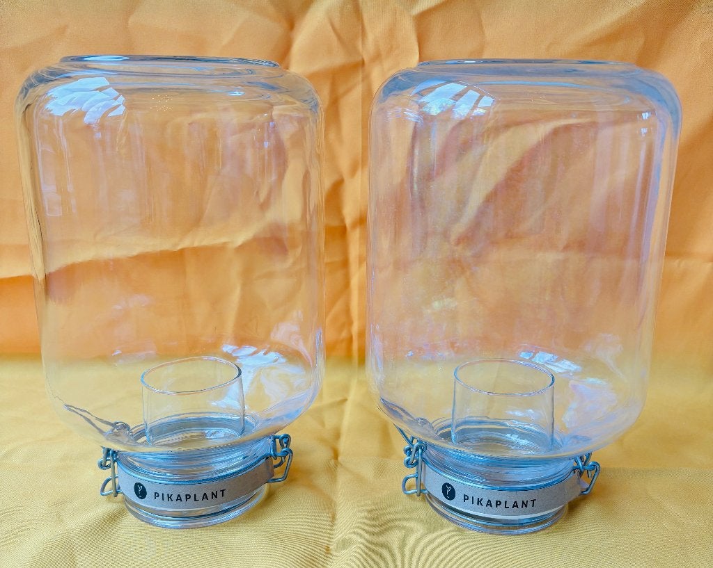 PIKAPLANT JARS | POTTEN, Overige soorten, Minder dan 100 cm, Groene kamerplant, Halfschaduw
