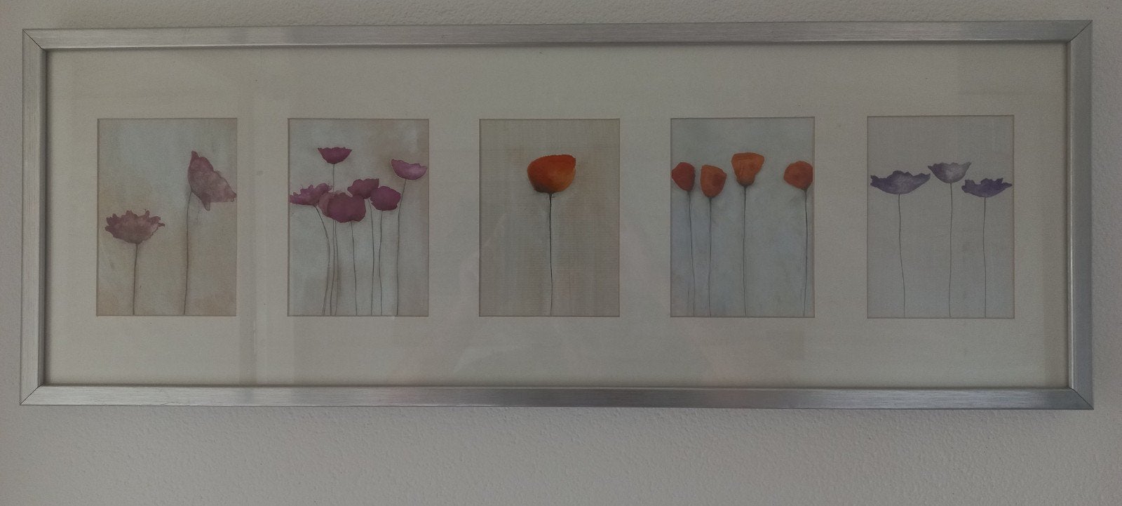 5-luik bloemen in aluminium lijst met passe-partout, Huis en Inrichting, Gebruikt, Ophalen of Verzenden, 75 tot 100 cm, Foto of Poster