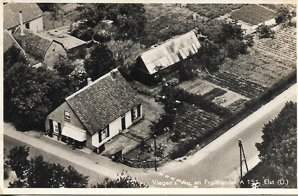 Elst (U.)- -Viegen's Vis- en Fruithandel., Verzenden, 1960 tot 1980, Ongelopen, Utrecht