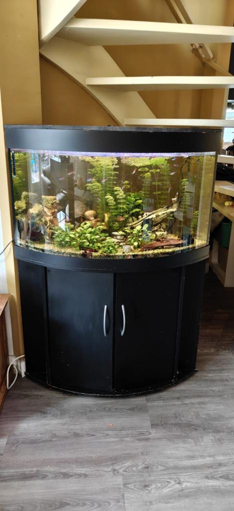 Prachtig Juwel Trigon Hoekaquarium + onderkast, Dieren en Toebehoren, Ophalen, Zo goed als nieuw, Leeg aquarium