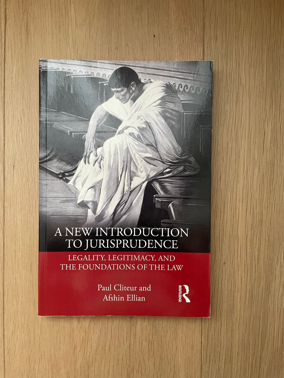 A New Introduction to Jurisprudence - Paul Cliteur & Afshin, Boeken, Ophalen of Verzenden, Gamma, Zo goed als nieuw, WO