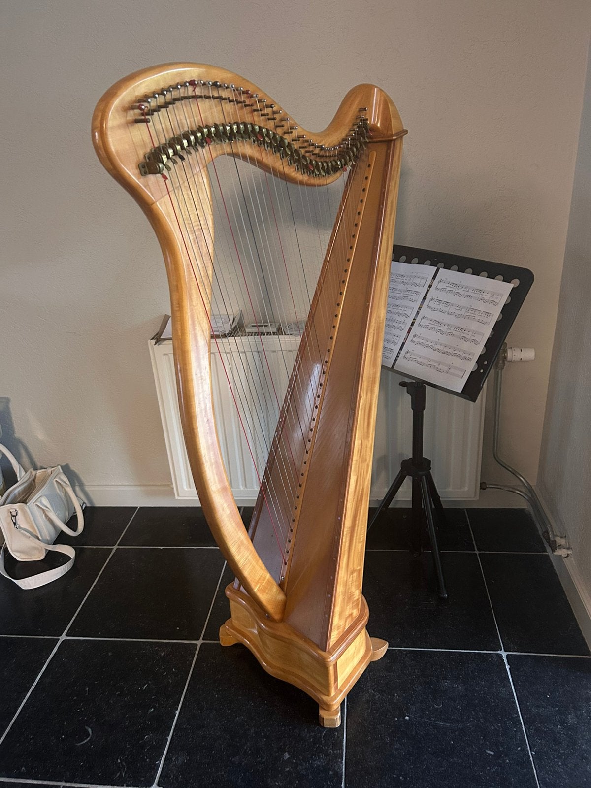 Prachtige aoyama harp 5 octaven/36 snaren, Muziek en Instrumenten, Snaarinstrumenten | Harpen, Ophalen, Gebruikt