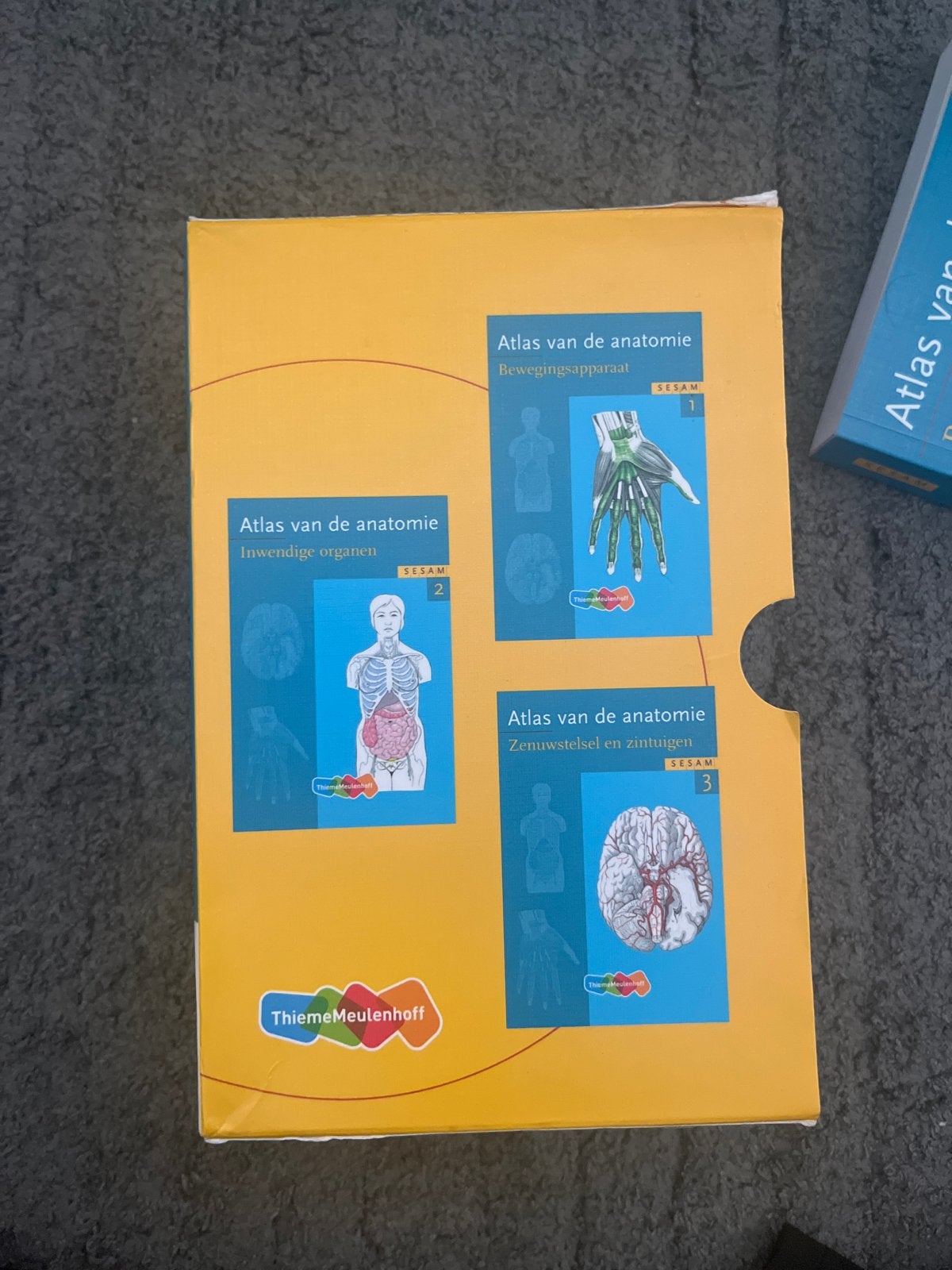 Atlas van de anatomie set (delen 1, 2 en 3), Ophalen of Verzenden, Beta, Zo goed als nieuw, HBO