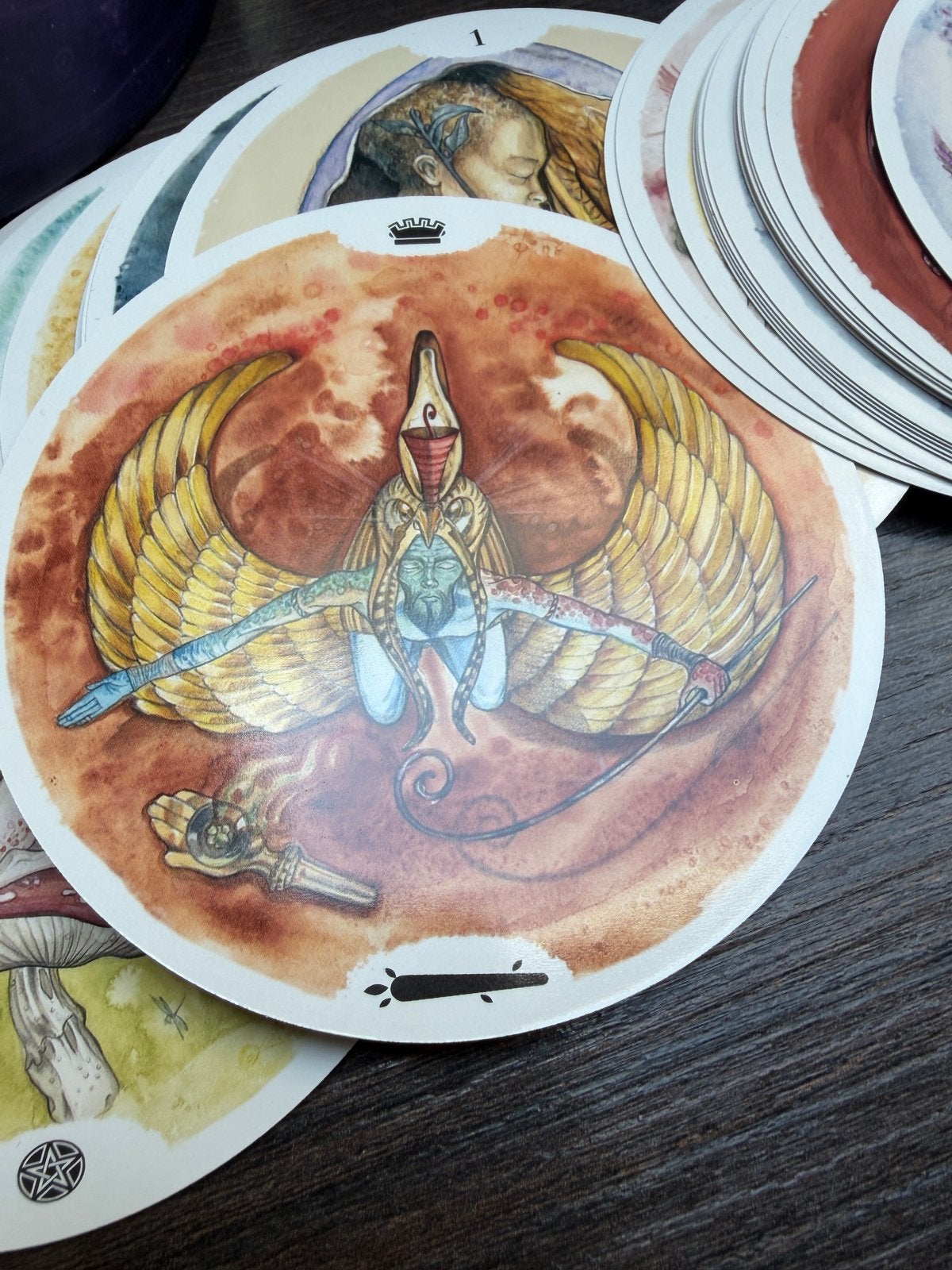 Circle of Life Tarot Deck - Ronde kaarten met elfenfiguren, Ophalen of Verzenden, Zo goed als nieuw, Tarot of Kaarten leggen, Overige typen