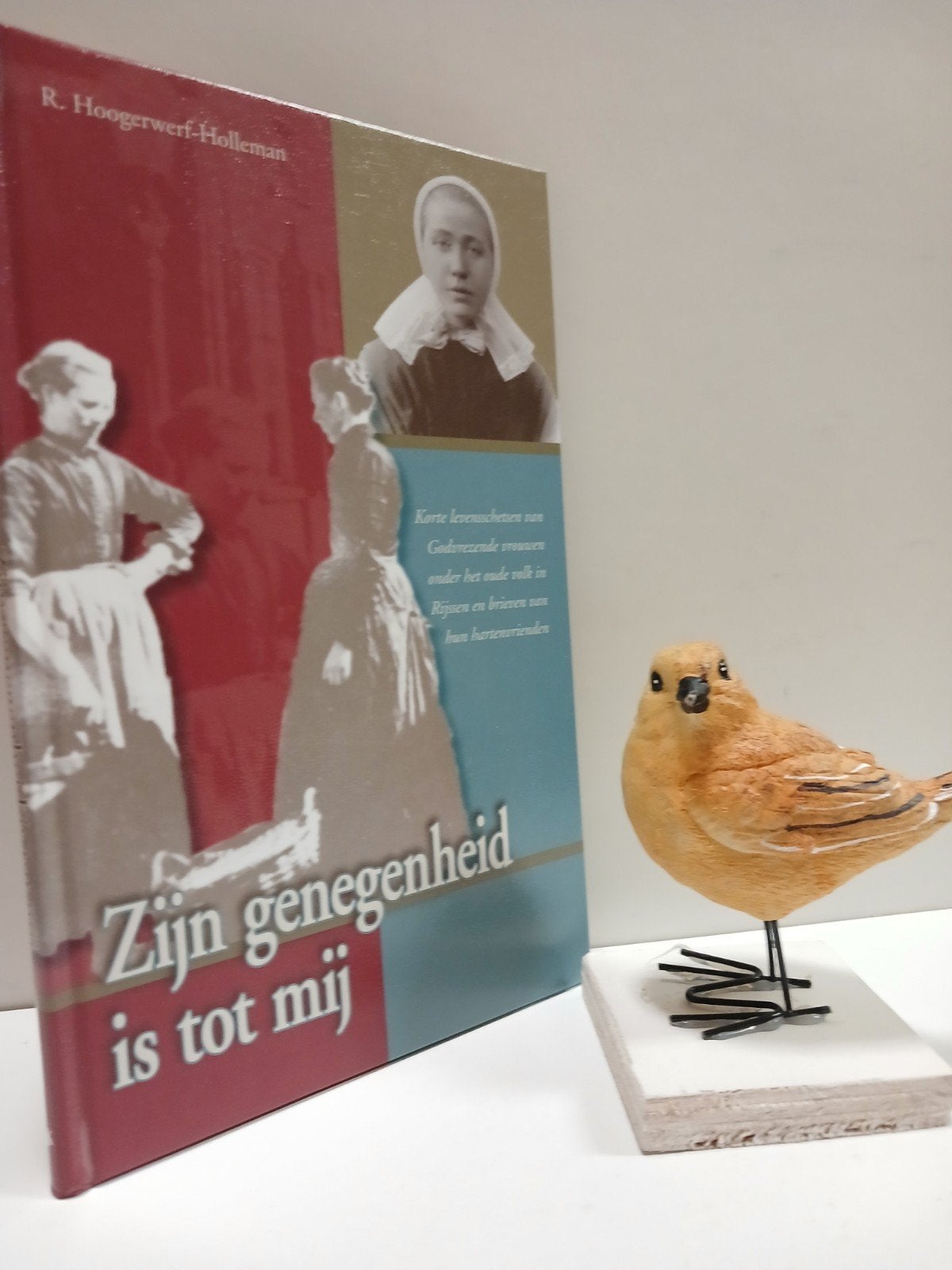 Hoogerwerf-Holleman, R.; Zijn genegenheid is tot mij, Ophalen of Verzenden, Gelezen, Christendom | Protestants