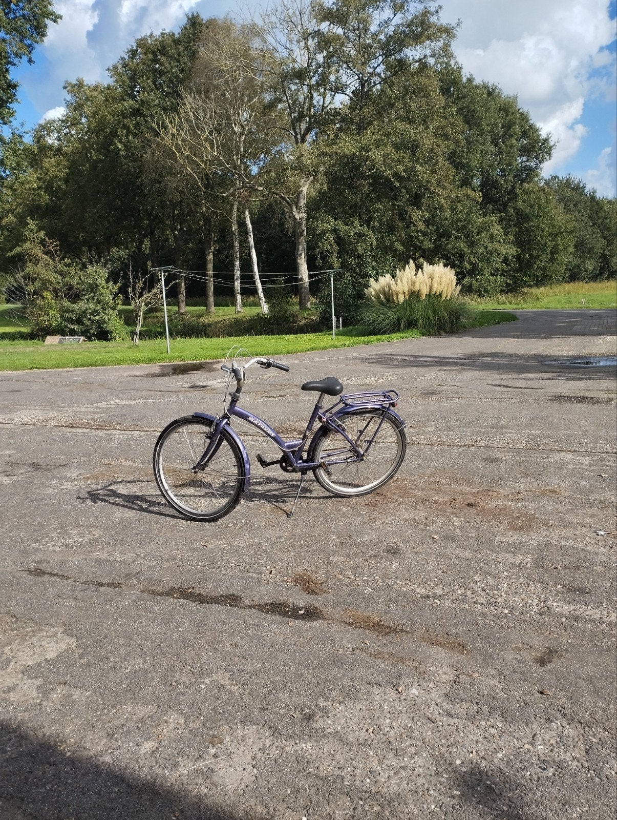 Leuke paarse damsfiets, Fietsen en Brommers, Terugtraprem, Gebruikt, Versnellingen, 50 tot 53 cm