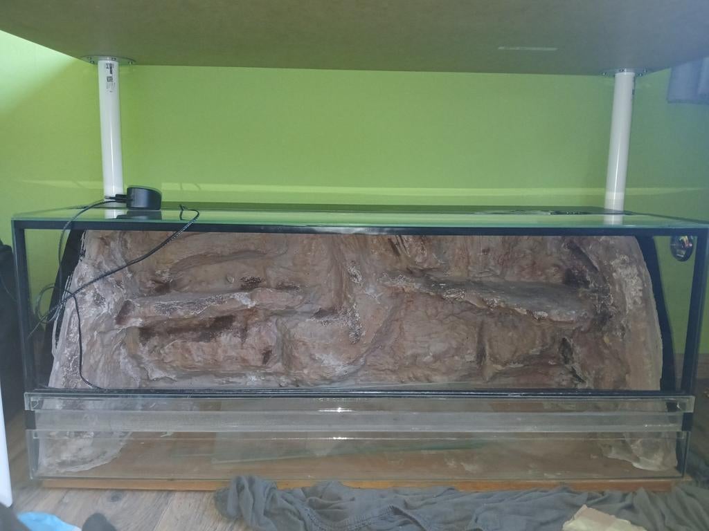 Terrarium met achterwand, Dieren en Toebehoren, Reptielen en Amfibieën | Toebehoren, Ophalen, Gebruikt, Terrarium of Paludarium