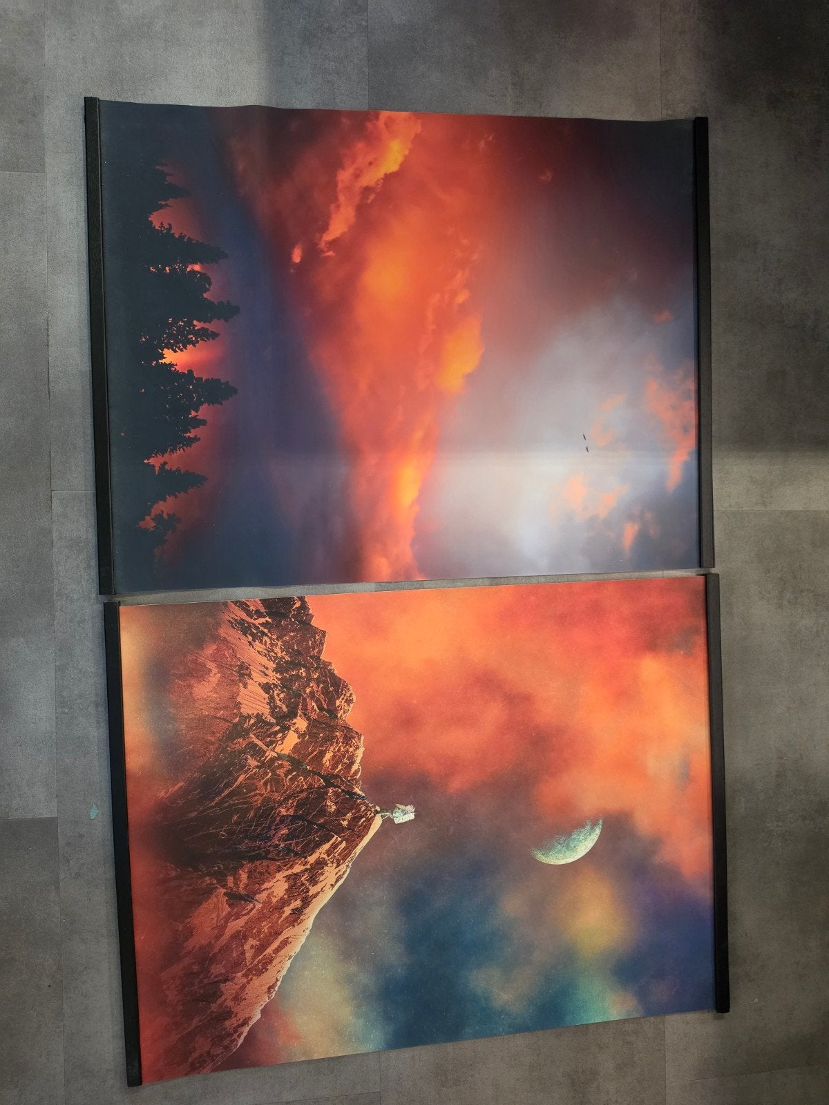 Twee doeken met ophangsysteem - Ecstase (92,5x70 cm), Ophalen of Verzenden, 75 – 100, 50 tot 75 cm, Print