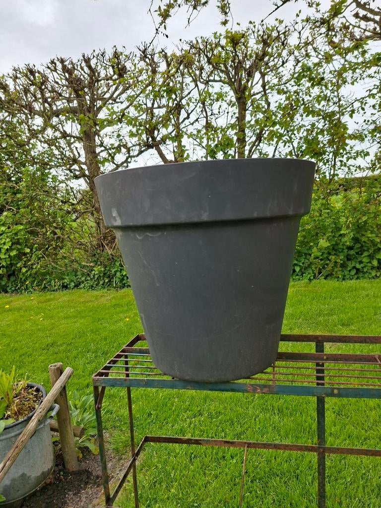 Grote kunststof bloempot, Ophalen, Rond, Kunststof