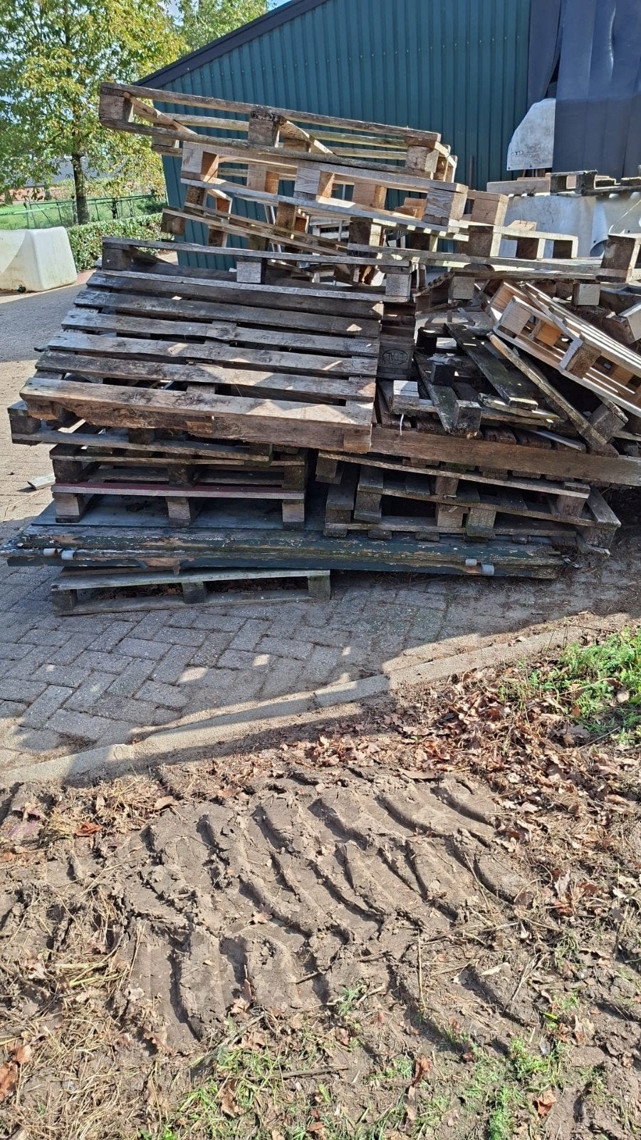 Gratis pallets, Ophalen, Overige houtsoorten