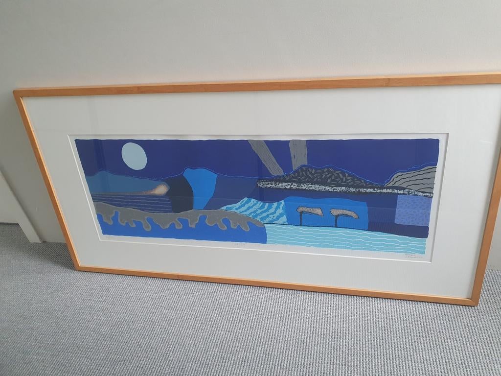 Origineel Schilderij/zeefdruk Ronald Boonacker - Aruba Blauw, Antiek en Kunst, Ophalen