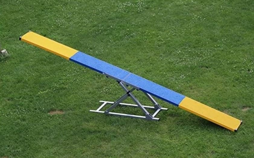 Agility Wip Training Hondensport Behendigheid Hondentraining